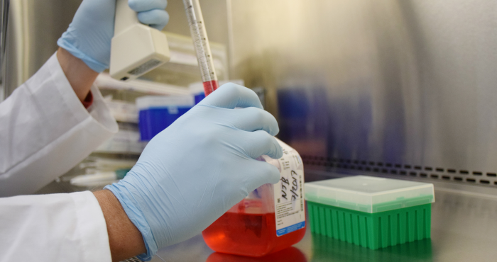 The first live-attenuated vaccine candidate completely protects against Zika infection 