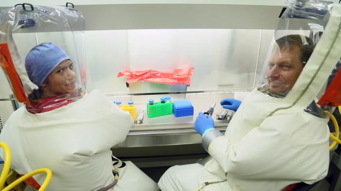 Researchers learn how Ebola virus disables the body’s immune defenses