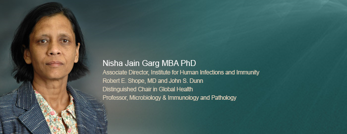 UTMB researchers devise vaccine that provides long-term protection against Chagas disease