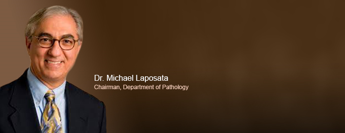 Laposata to give annual Dean's Lecture