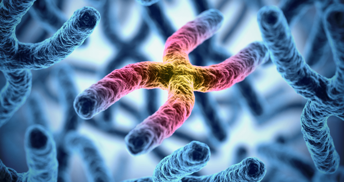 Researchers find new gene interaction associated with increased MS risk