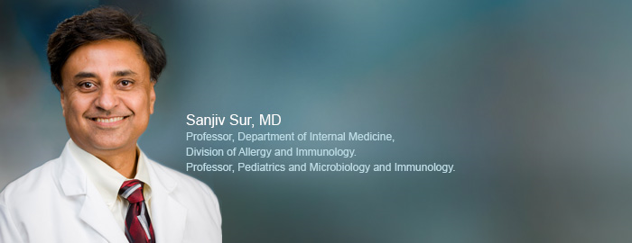 UTMB study uncovers mechanism responsible for pollen-induced allergies 