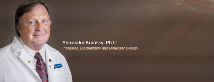 UTMB receives $5.7 million grant to develop research network