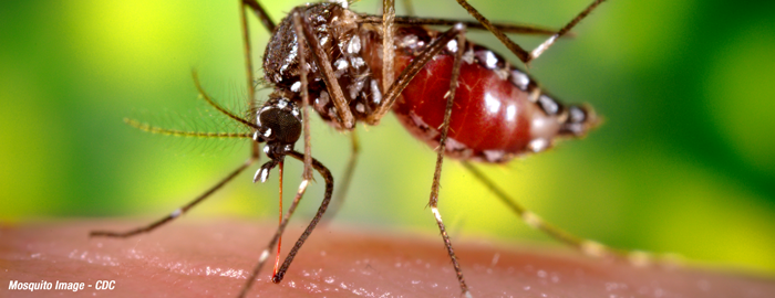 UTMB researchers help discover simple, affordable diagnostic kit for chikungunya